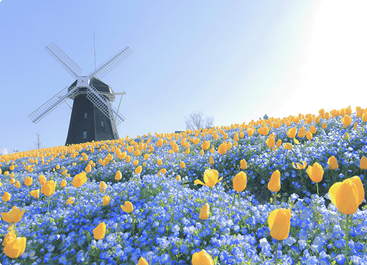 花博記念公園 鶴見緑地｜【公式】プレサンス ロジェ 鶴見緑地公園