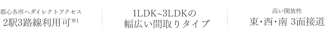 2駅3路線利用可/1LDK～3LDKの幅広い間取りタイプ/東･西･南 3面接道